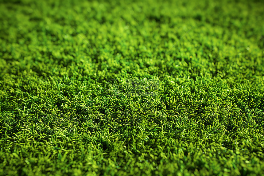 绿色直播助力公益传播倡导健康网络环境