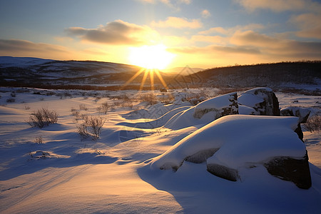石林下的冬日美景图片