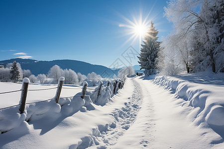 冬日积雪的道路图片