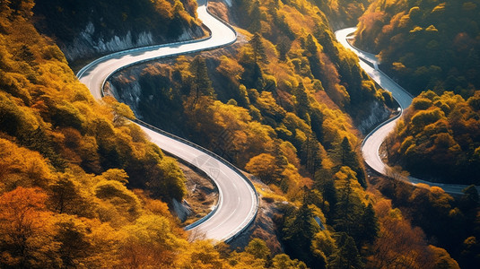 秋山上的道路图片