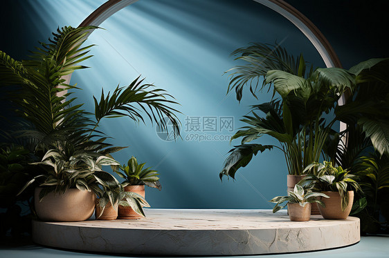 植物展台背景图片