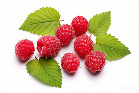 红色的树莓背景图片