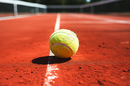 地面上的绿色网球图片