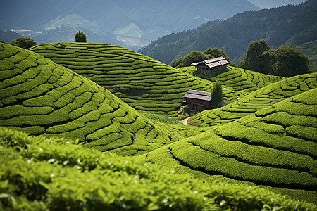 中国农村的美丽风景图片