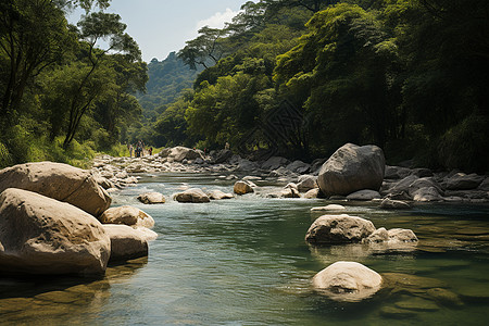 小河流淌的夏季森林景观背景图片
