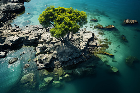 海湾静谧绿洲的美丽景观图片