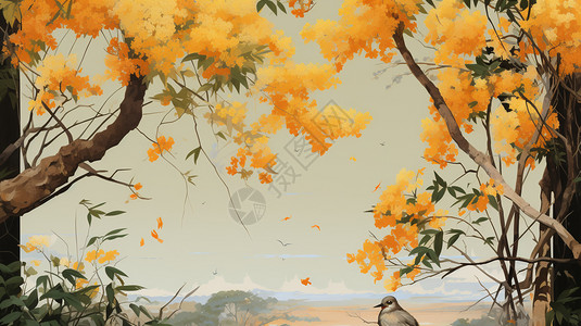 秋天的桂花树背景图片