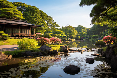 日本奈良的花园图片