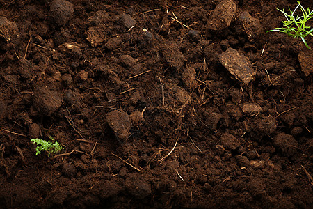 户外的农业泥土图片