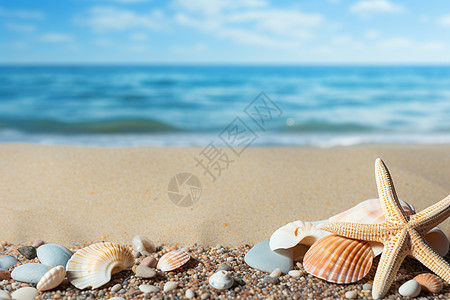 美丽的夏日海滩背景图片