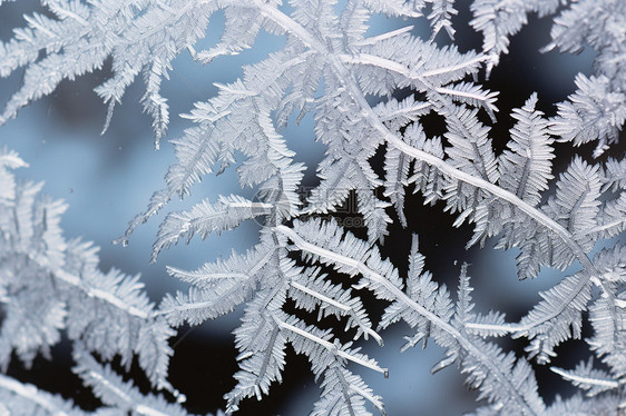 冰雪奇景图片