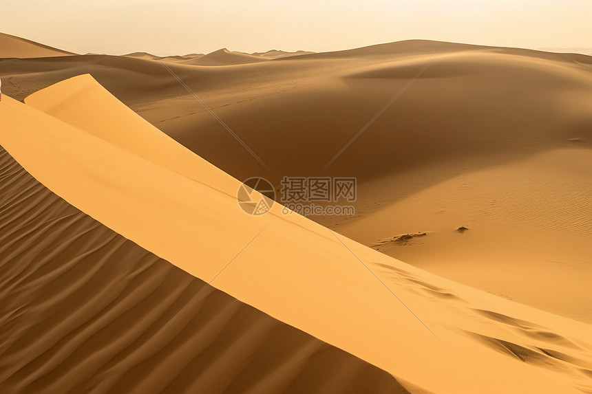 金色沙漠图片