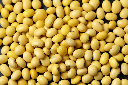 天然营养的大豆图片
