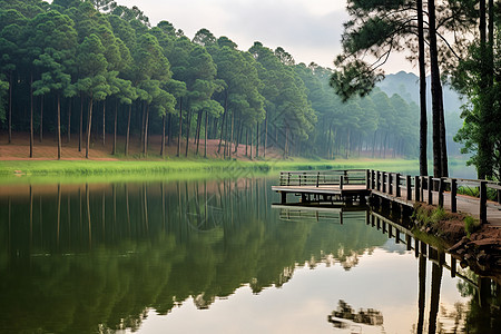 晨光中的湖畔小屋图片