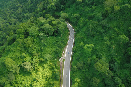 山村道路边的绿植背景图片