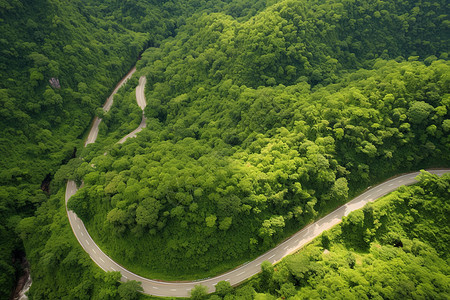 俯拍的乡村山路图片