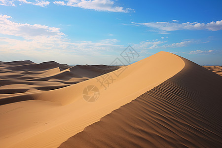 沙丘景色图片