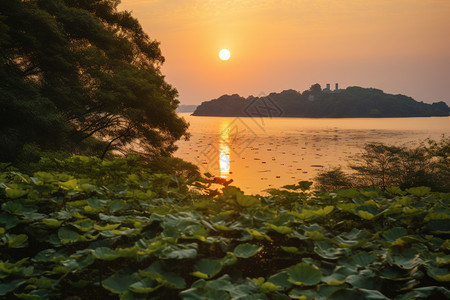 黄昏下的湖泊图片