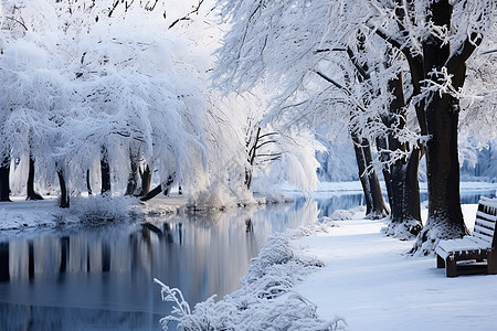 白雪覆盖的森林景观图片