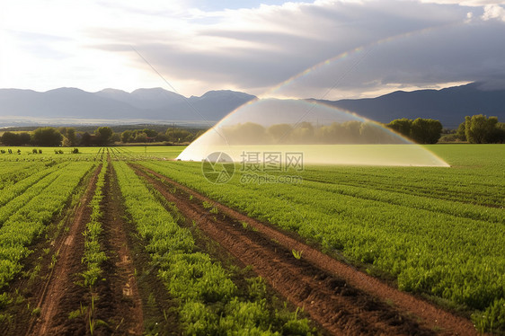 自动灌溉系统图片