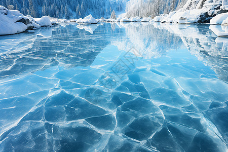冬季森林冰冻的湖面景观图片