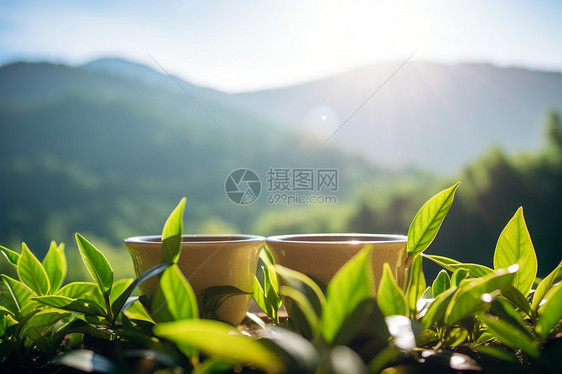 山青叶茂的种植园图片