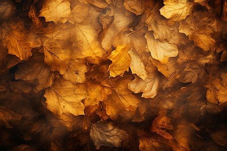 秋叶堆叠的背景背景图片