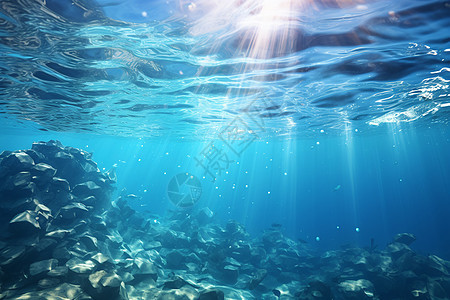 壮丽的海底世界图片