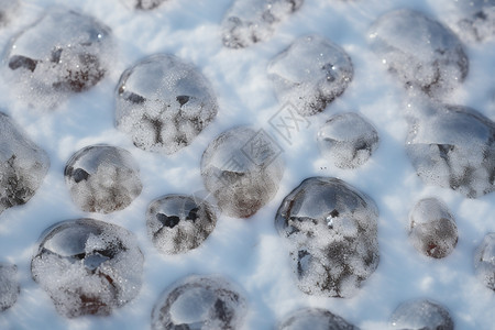 冰雪中的冰球图片