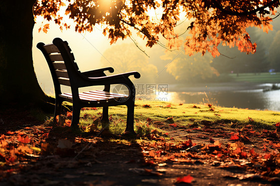 秋日公园里的长椅图片