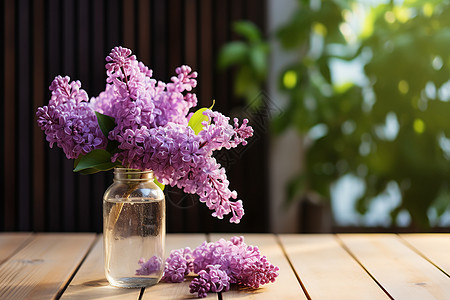 夏日的紫丁香花束图片