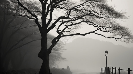 浓雾下的大树图片