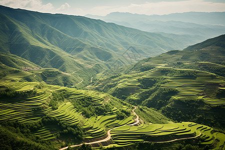 宁静的山谷图片