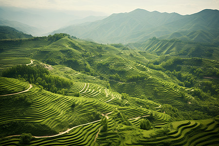 辽阔的山谷图片