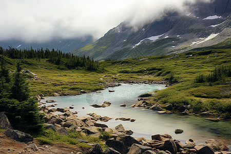 阿拉斯加山区的山间溪流图片