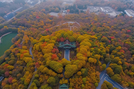 树木环绕的房屋图片