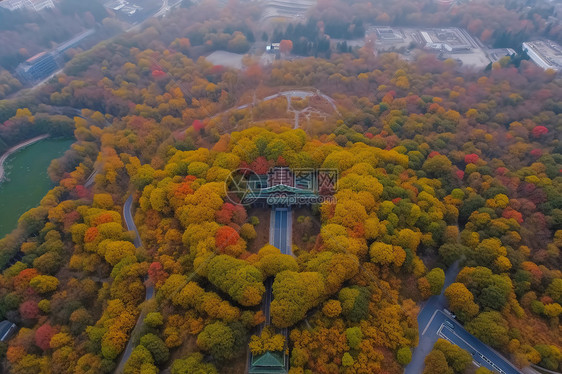 树木环绕的房屋图片