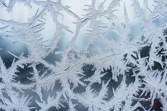 冰天雪地景观图片