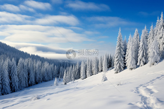 白雪皑皑的山峰图片