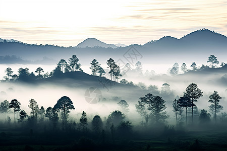 树木油画绿树和一片云海背景