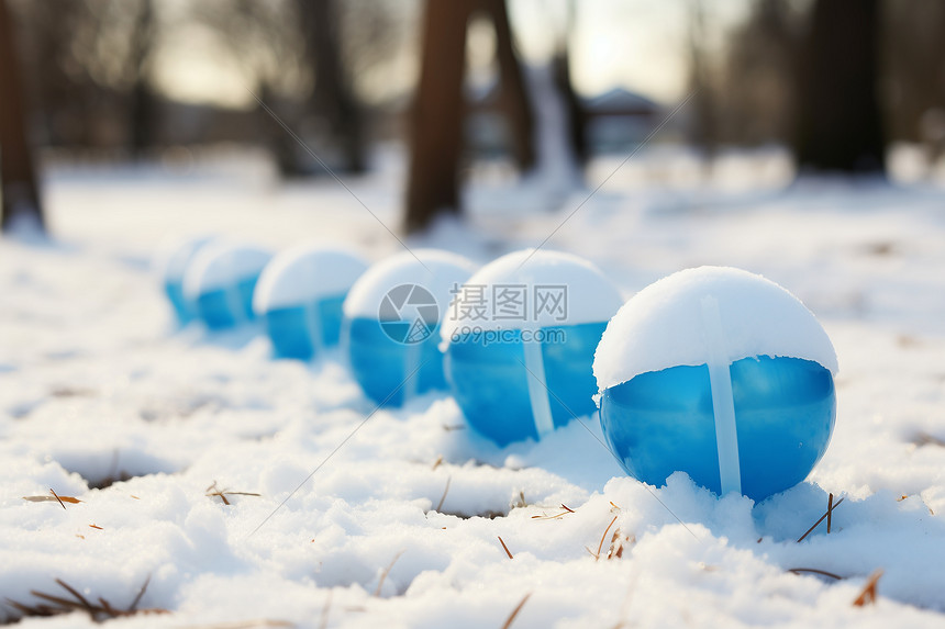 冬日雪地欢乐图片