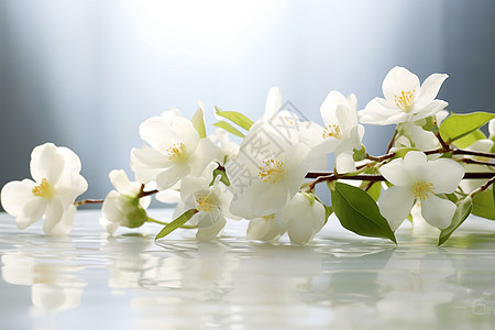 白花花境图片