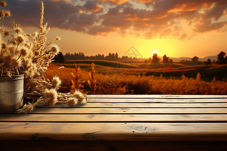 秋天金黄色的麦田景观图片