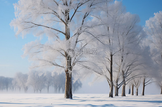 冰天雪地的冬季风景图片