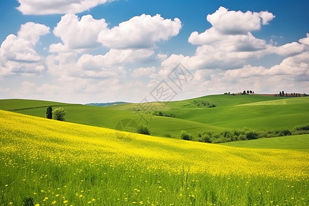 田园间的草地与蓝天图片