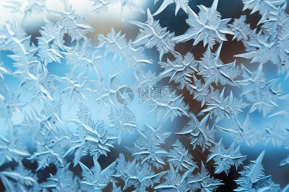 冰雪中的艺术图片