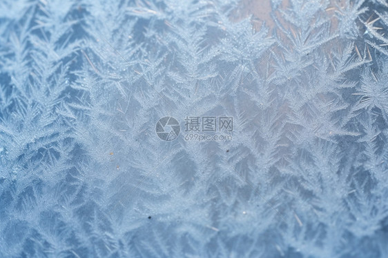 冰雪王国图片