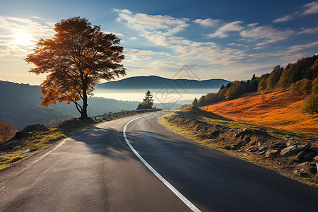 山上的公路图片