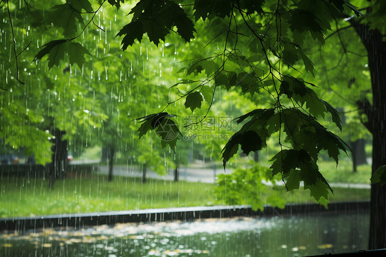 雨中的美景图片
