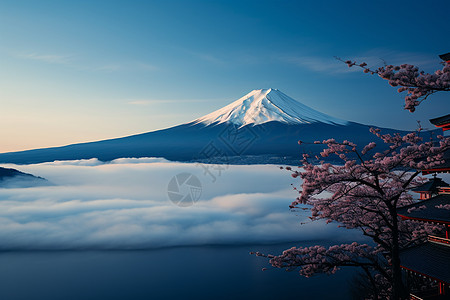 阳光下的富士山图片